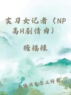 实习女记者（NP高H剧情肉）