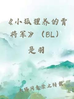 《小狐狸养的霄将军》（BL）