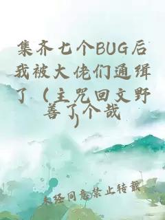 集齐七个BUG后我被大佬们通缉了（主咒回文野）