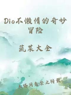 Dio不懒惰的奇妙冒险