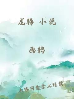 龙腾 小说