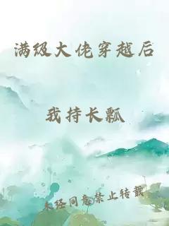 满级大佬穿越后