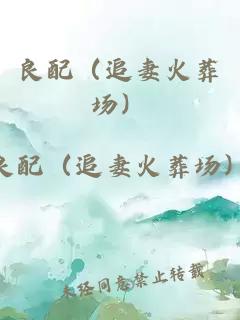 良配（追妻火葬场）