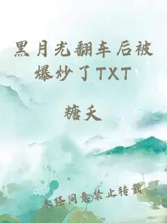 黑月光翻车后被爆炒了TXT