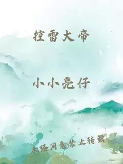 控雷大帝