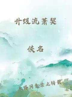 升级流萧契