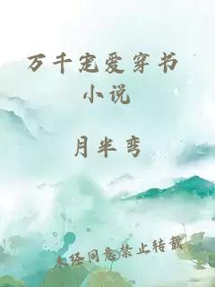 万千宠爱穿书 小说