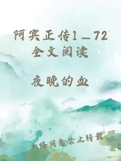 阿宾正传1—72全文阅读