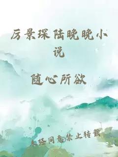 厉景琛陆晚晚小说