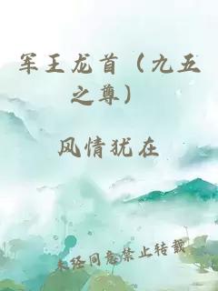 军王龙首（九五之尊）