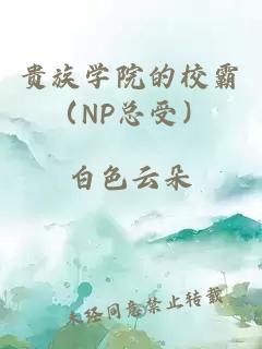 贵族学院的校霸（NP总受）