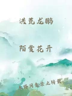 洪荒龙鹏