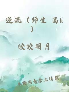 逆流（师生 高h）