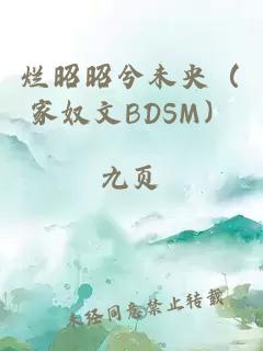 烂昭昭兮未央（家奴文BDSM）