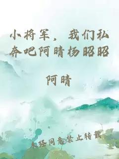 小将军，我们私奔吧阿晴杨昭昭